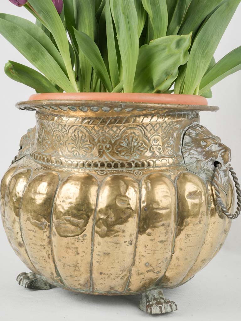 Chic, gadrooned, repoussé brass lion planter