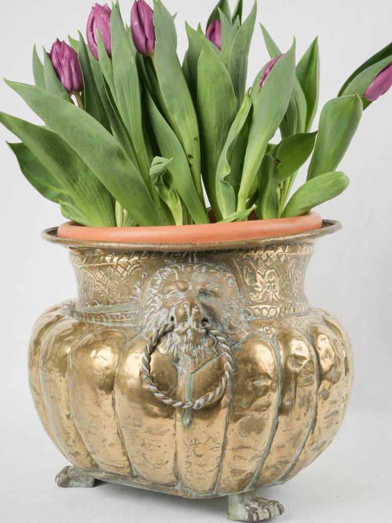 Regal, repoussé brass lion planter