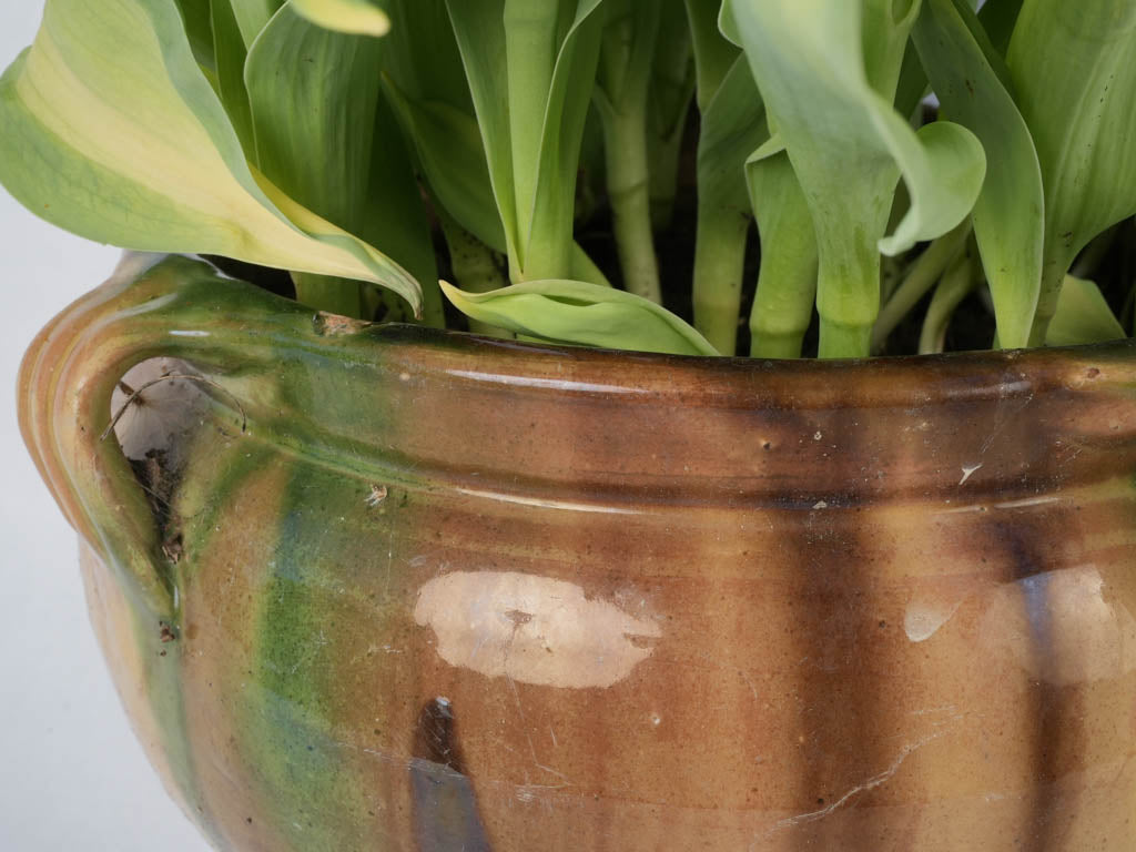 Anduze flower pots with unique glazing