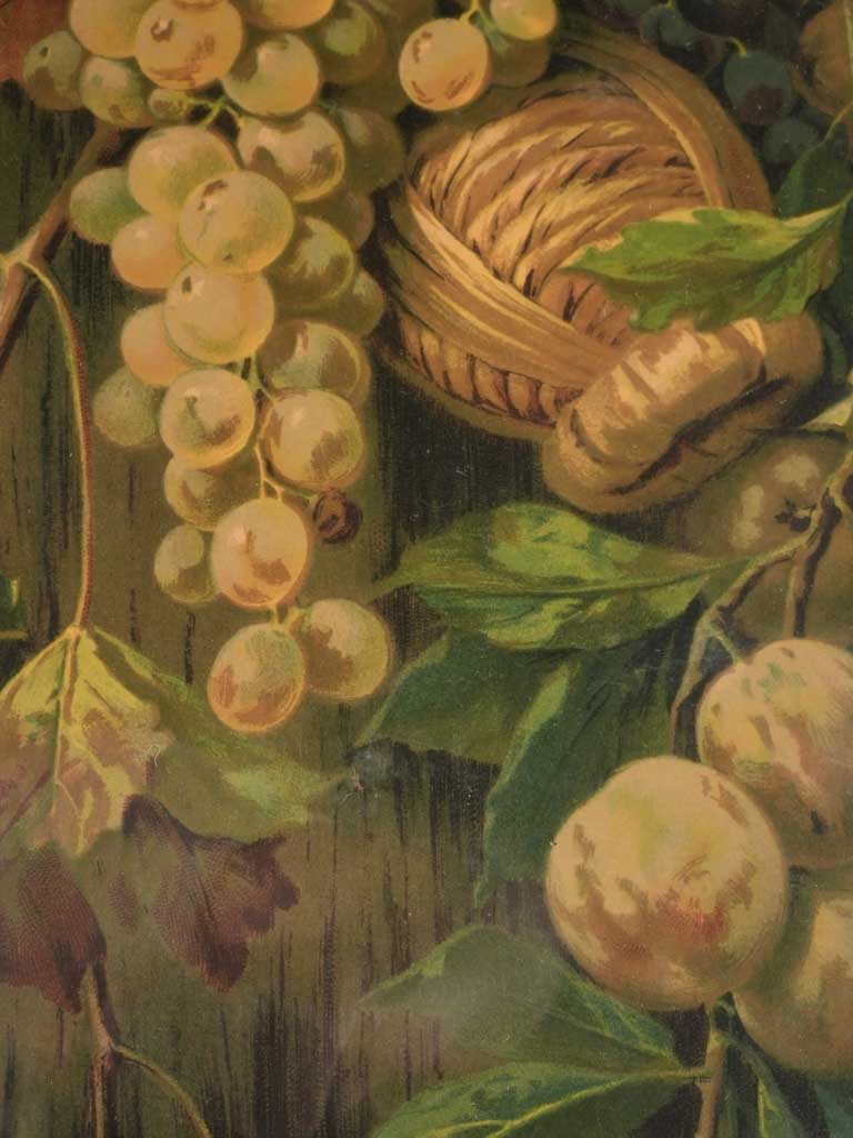 Historical chromolithograph ripe fruit piece