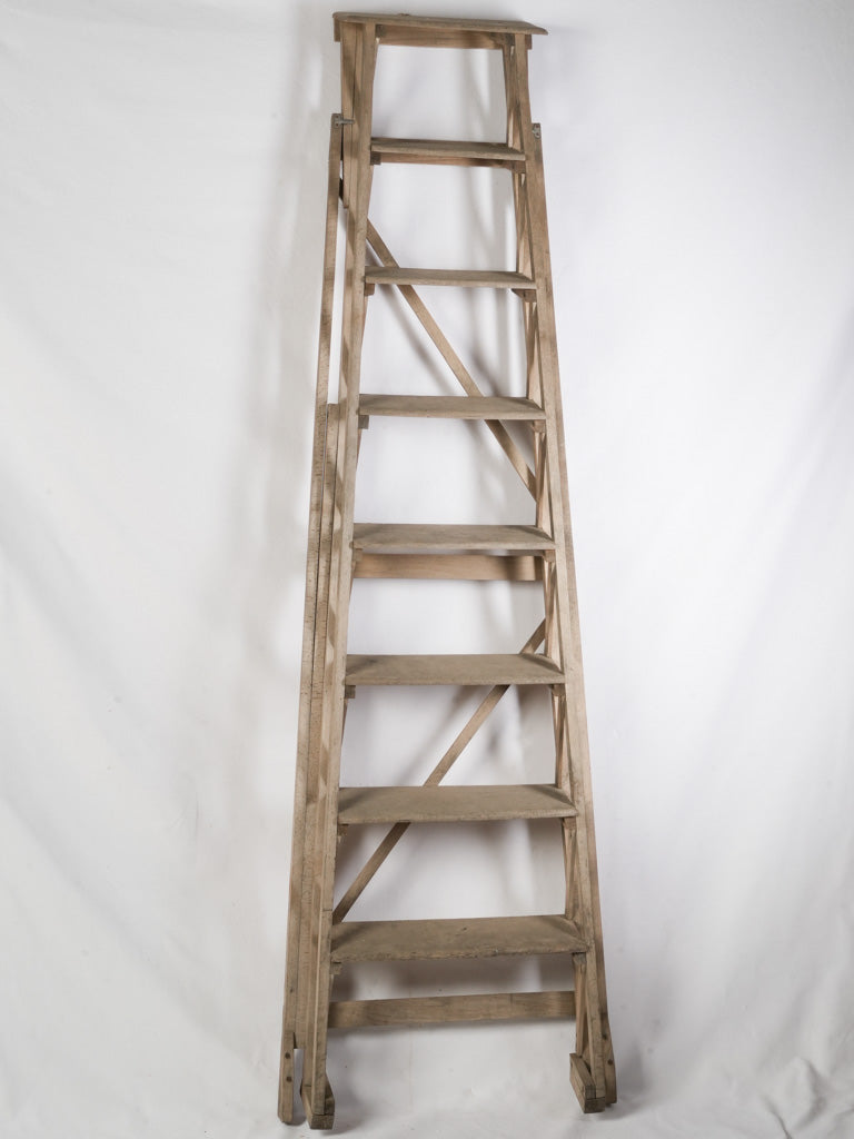 Classic French Library Ladder