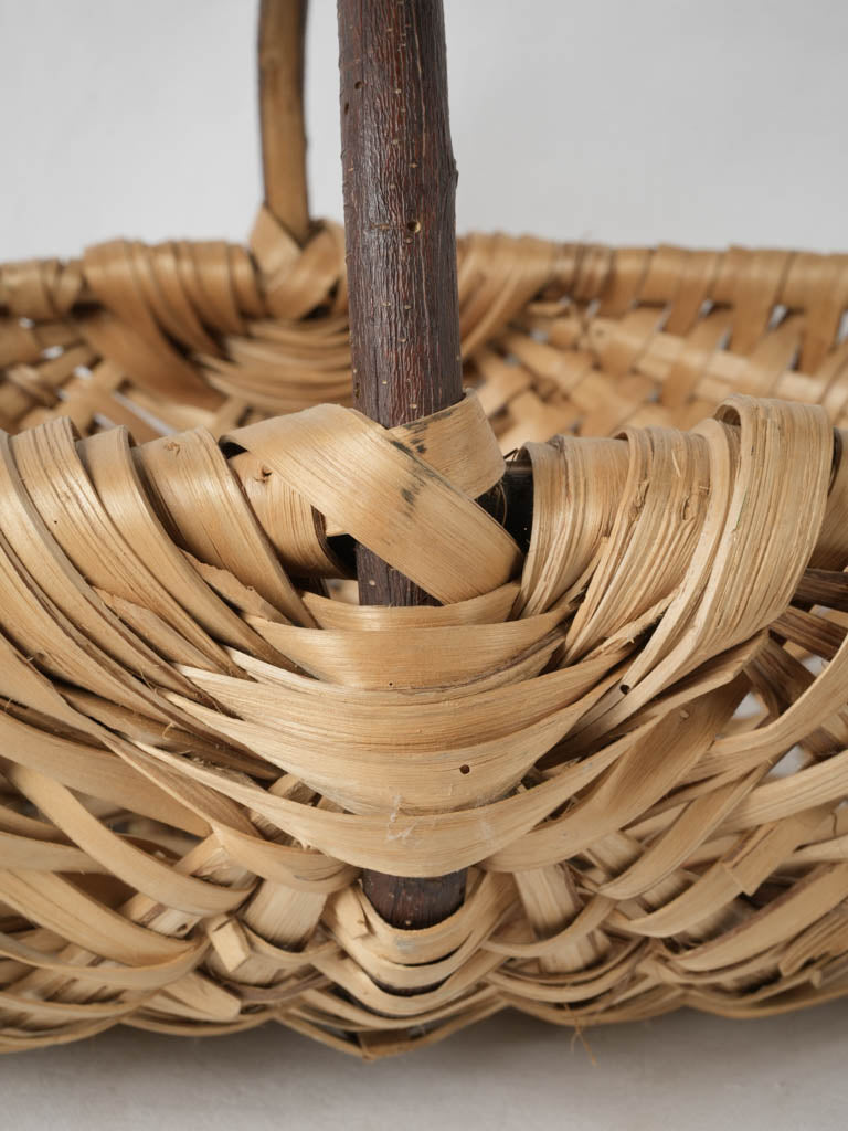 Sturdy chestnut harvesting wicker basket