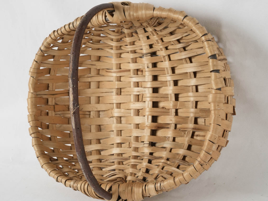 Classic harvest basket from Europe