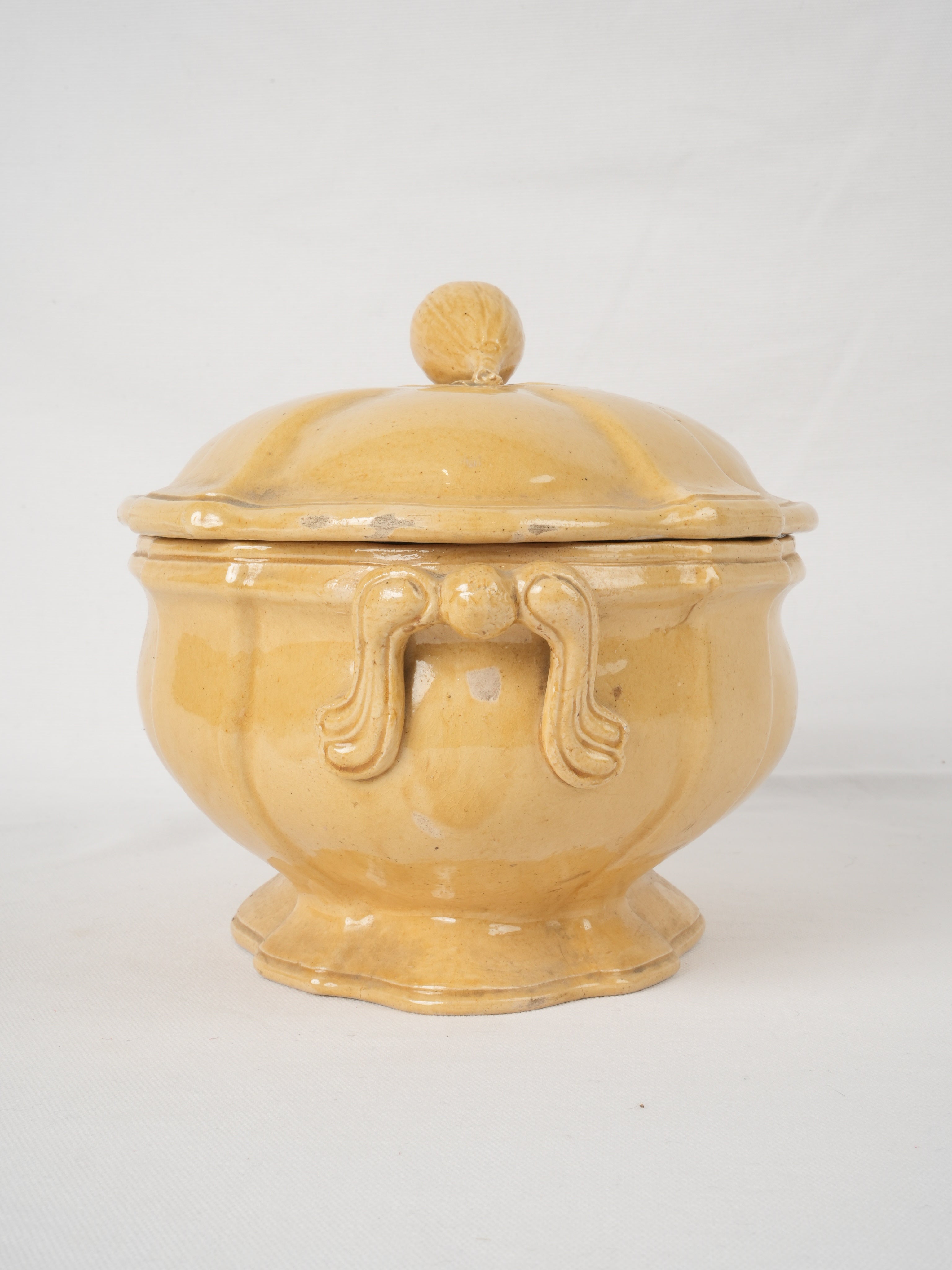 Lovely 19th-century fig-handled tureen