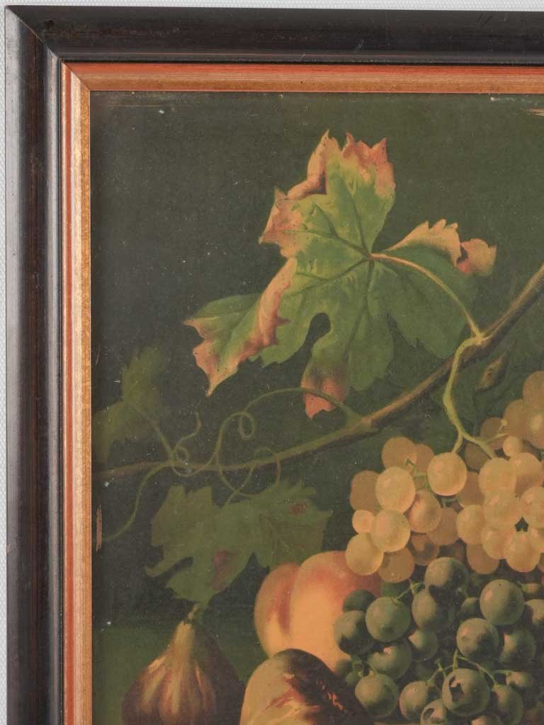 Colorful early-20th-century fruit chromolithograph