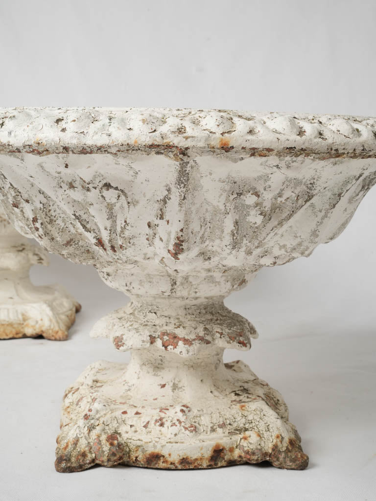 Aged elegant Medici urns