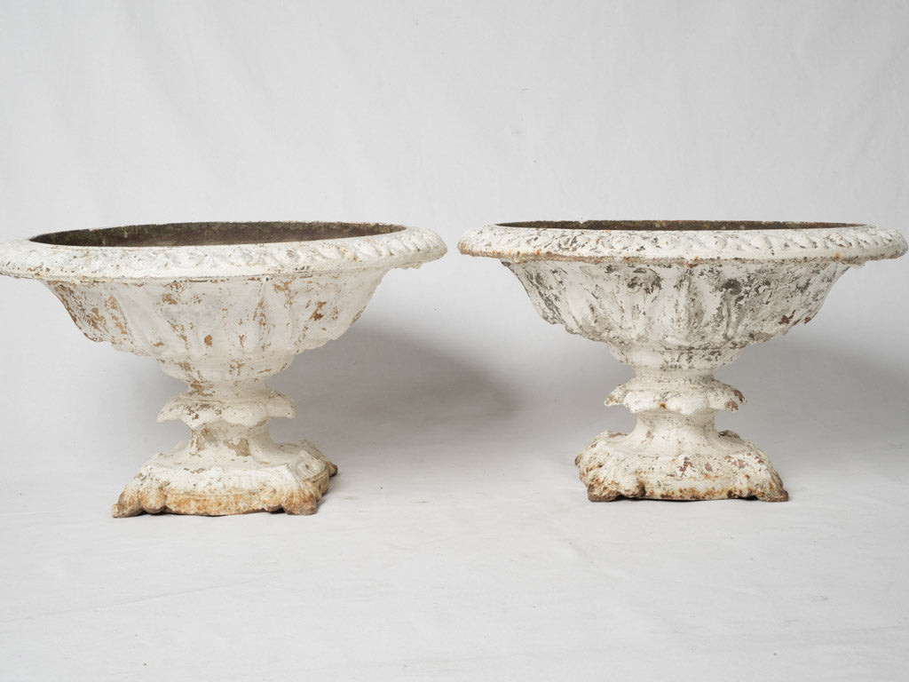 Provencal vintage white coupe urns