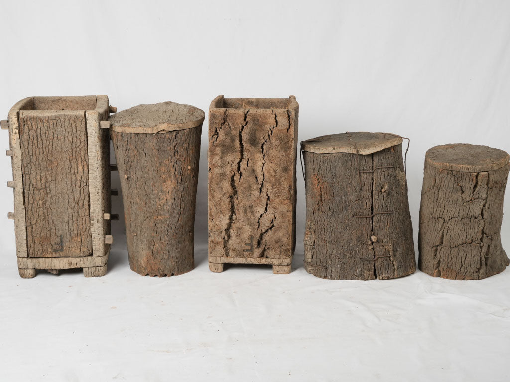 Artistic cork oak lidded beehives