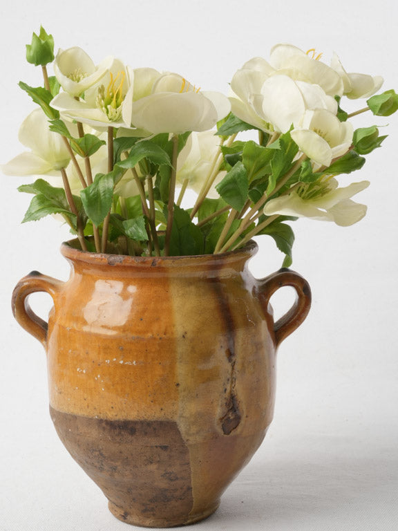 Vintage elegant French confit pot  