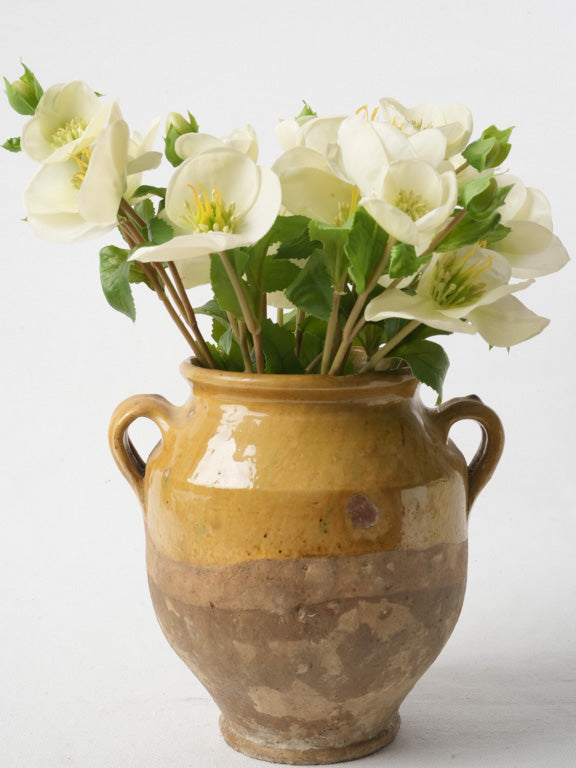 Rustic terracotta French confit pot  