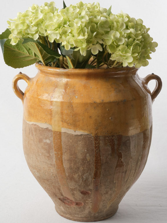 Rustic 19th-century terracotta confit pot  