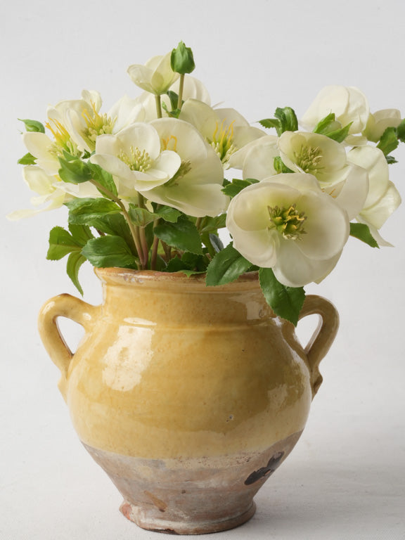 Rustic Saint-Jean-de-Fos pottery