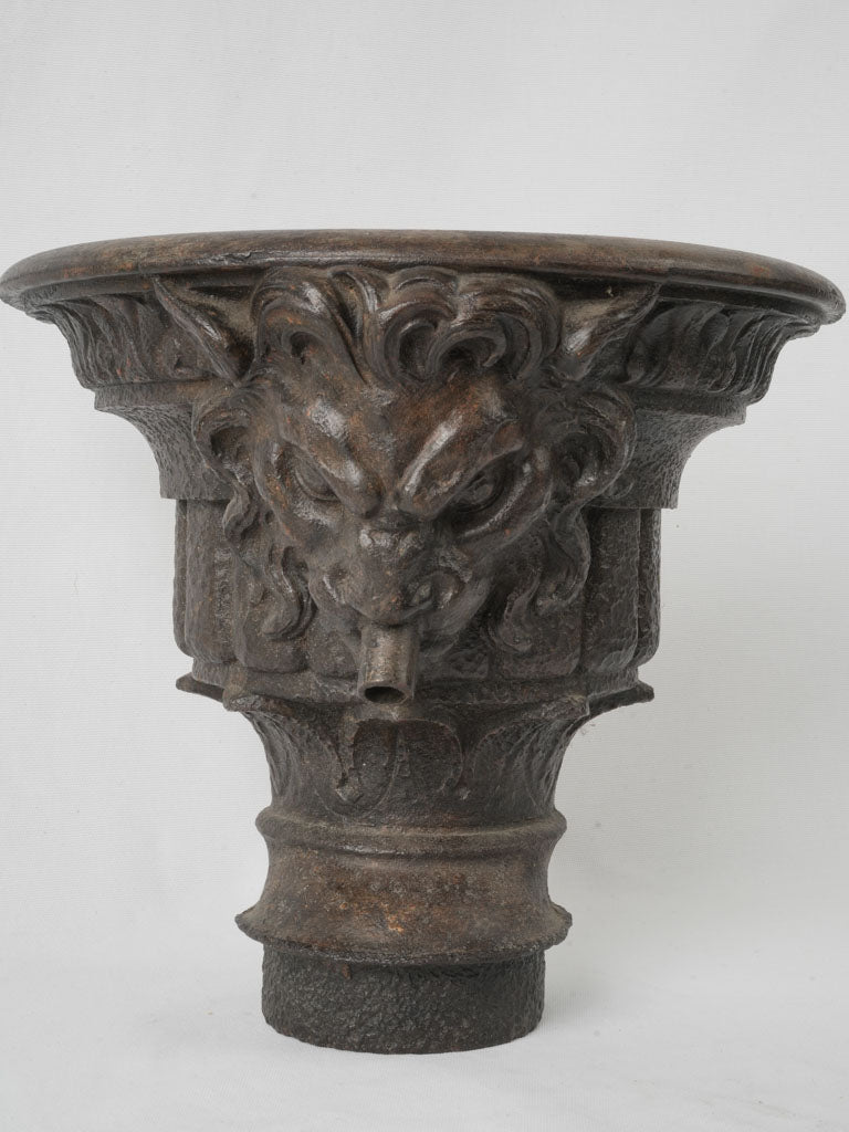 Patina-rich Lion Head Downpipe