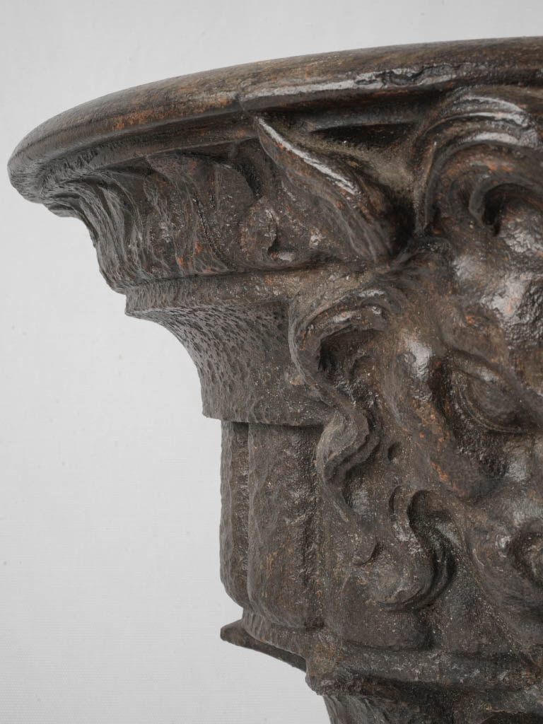 Rustic Lion Head Gutter Feature