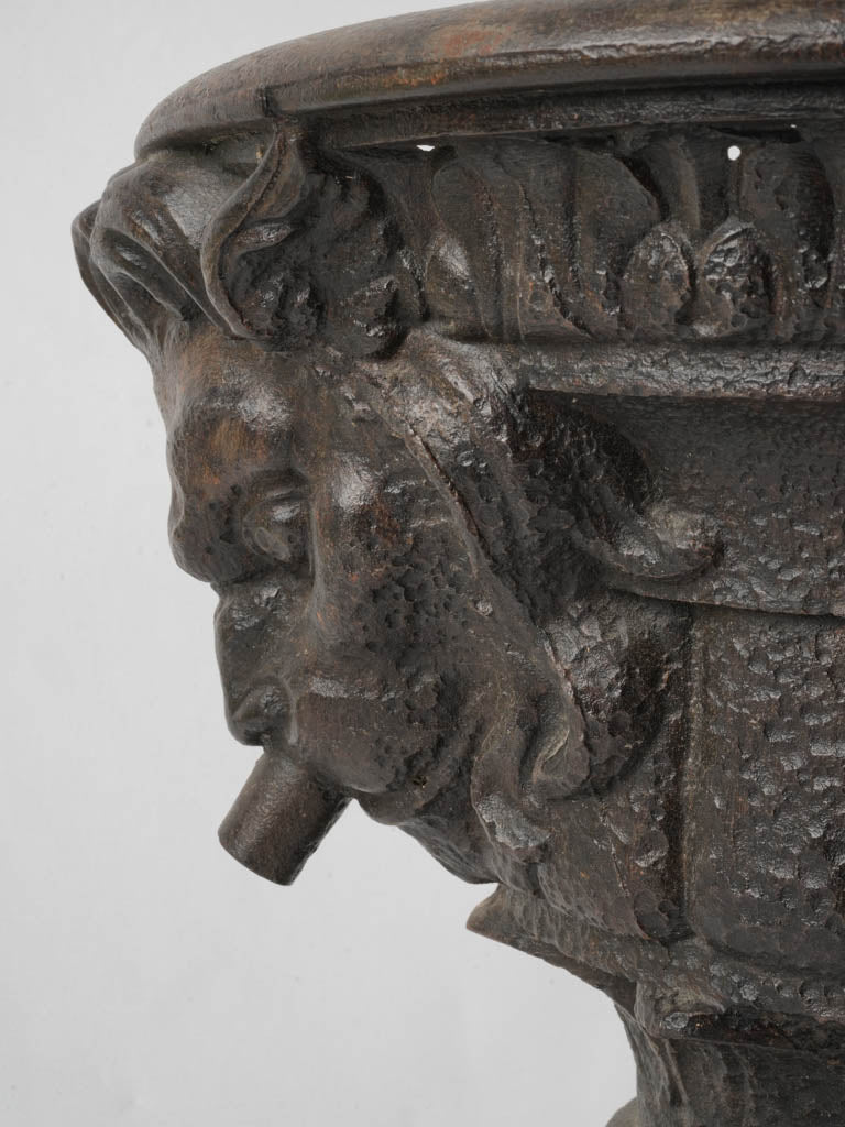 Intricate Cast Iron Lion Fixture