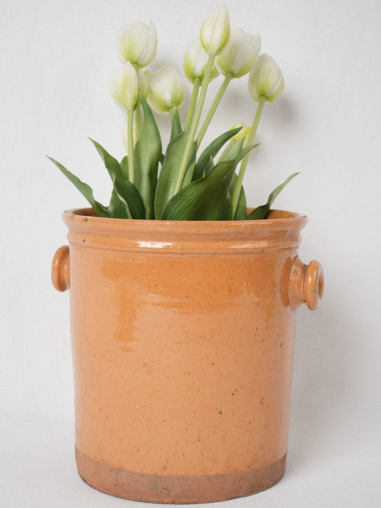 Antique round-handled culinary jar