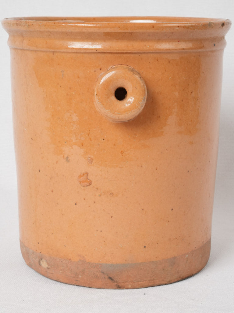 Aged pottery jar with ear handles