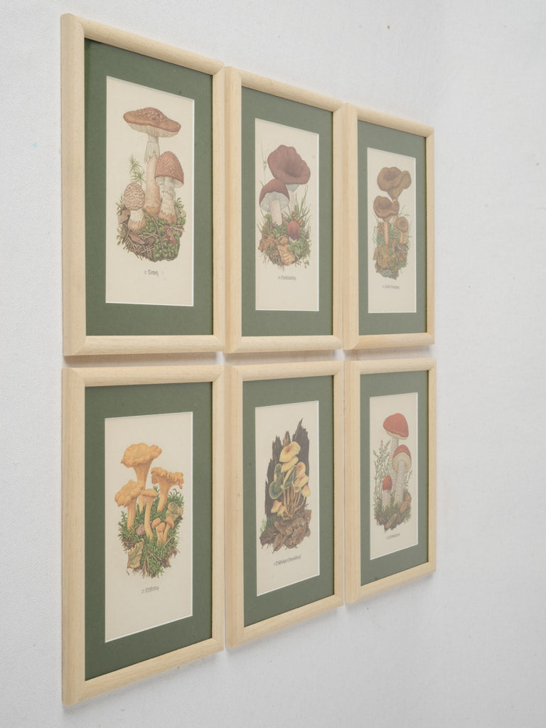 Stylish botanical prints