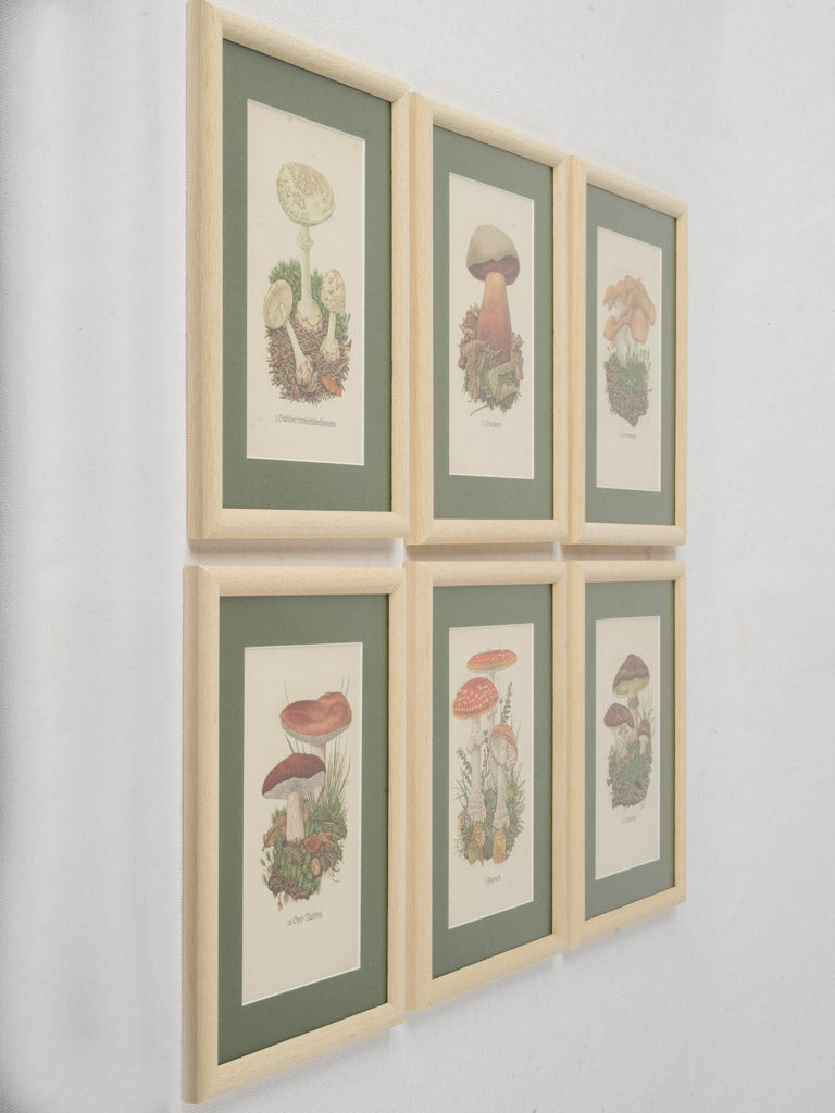 Timeless minimalist botanical wall art