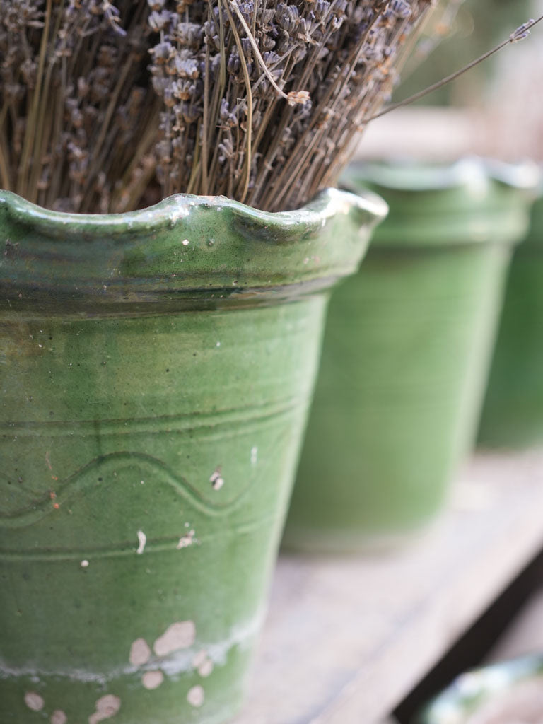 Vintage terracotta planters