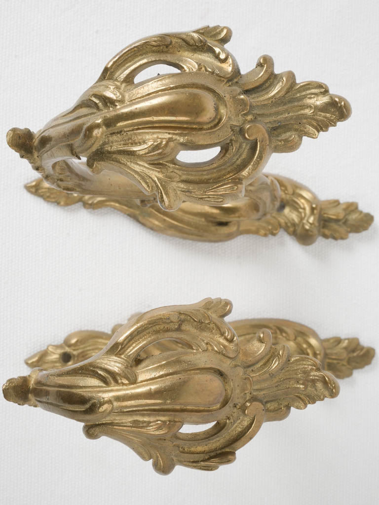 Timeless Acanthus Leaf Brass Hooks