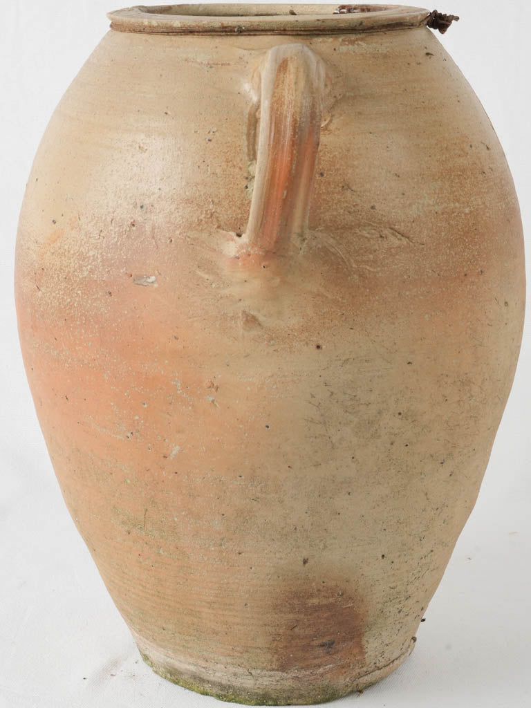 Aged terracotta olive pot in honey