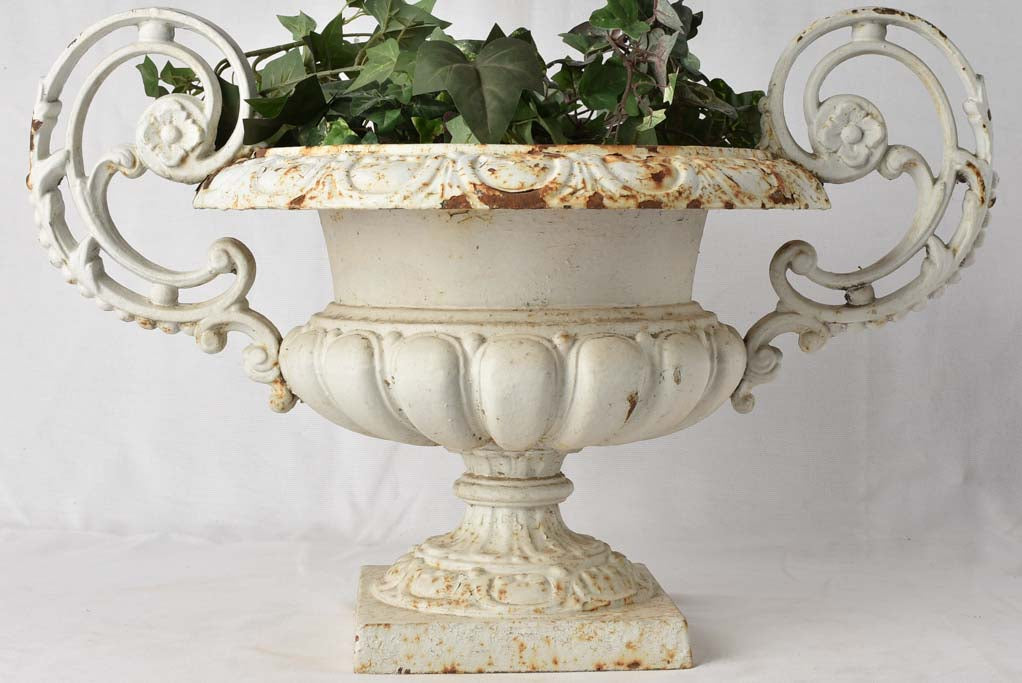 Pretty scrolled handle Medici planter