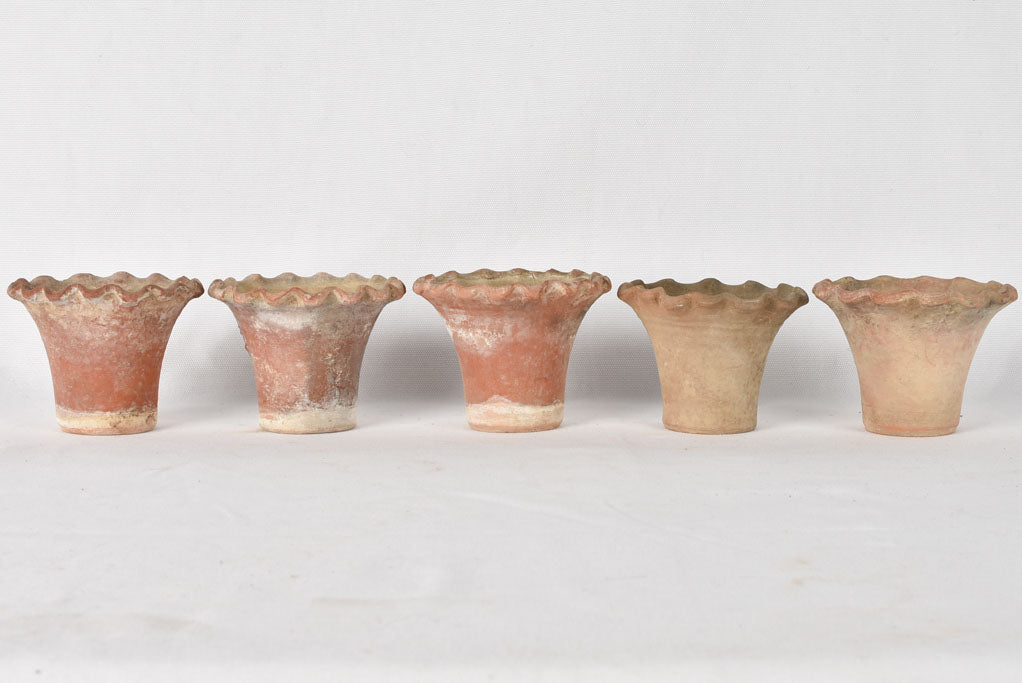 5 adorable flower pots - terracotta w/ rippled edge 3½"