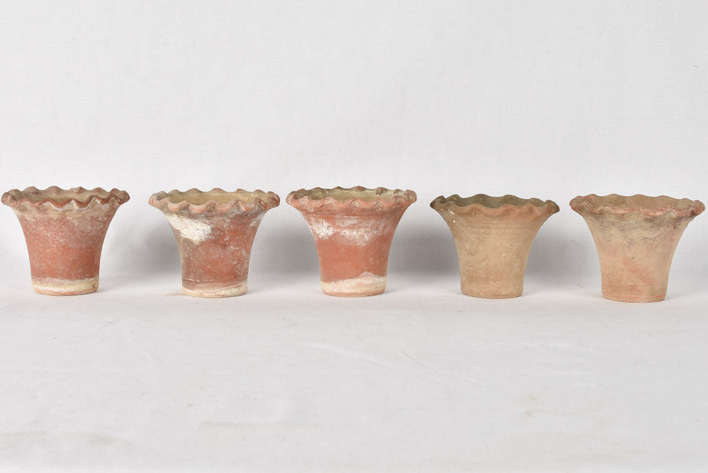 5 adorable flower pots - terracotta w/ rippled edge 3½"