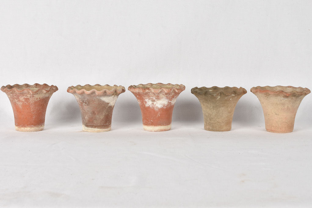 5 adorable flower pots - terracotta w/ rippled edge 3½"