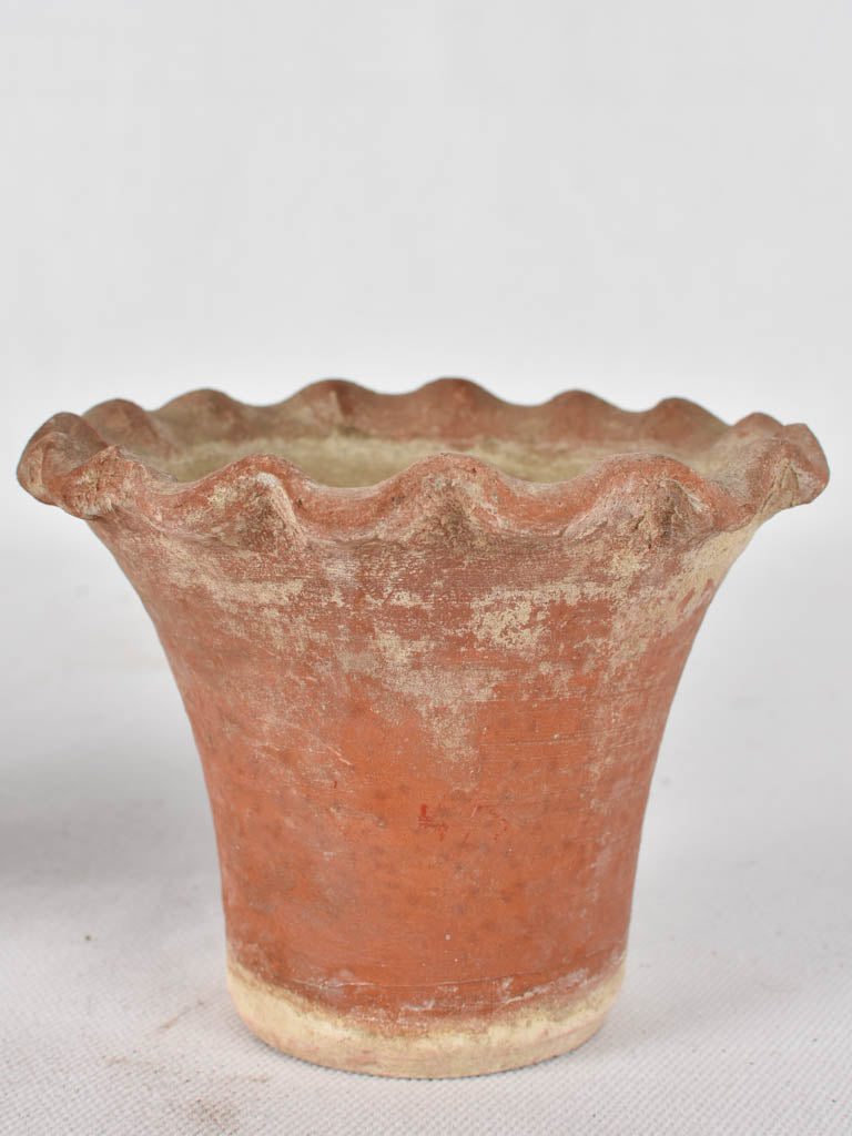 5 adorable flower pots - terracotta w/ rippled edge 3½"