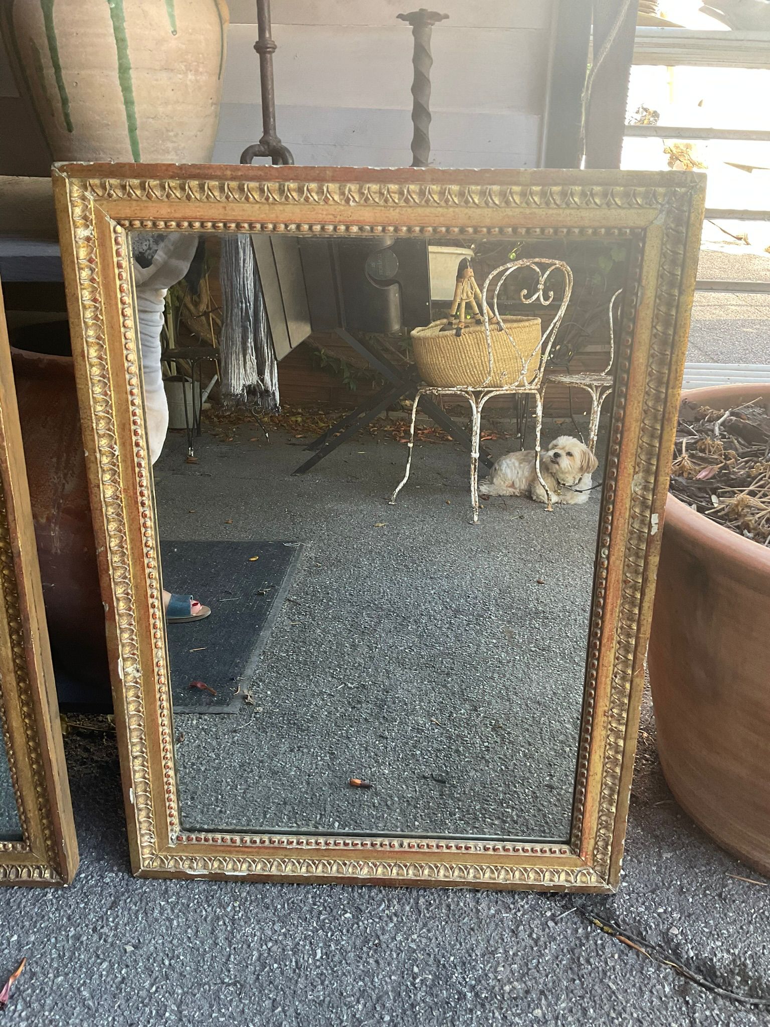 Water-gilded, antique Louis XVI mirrors 