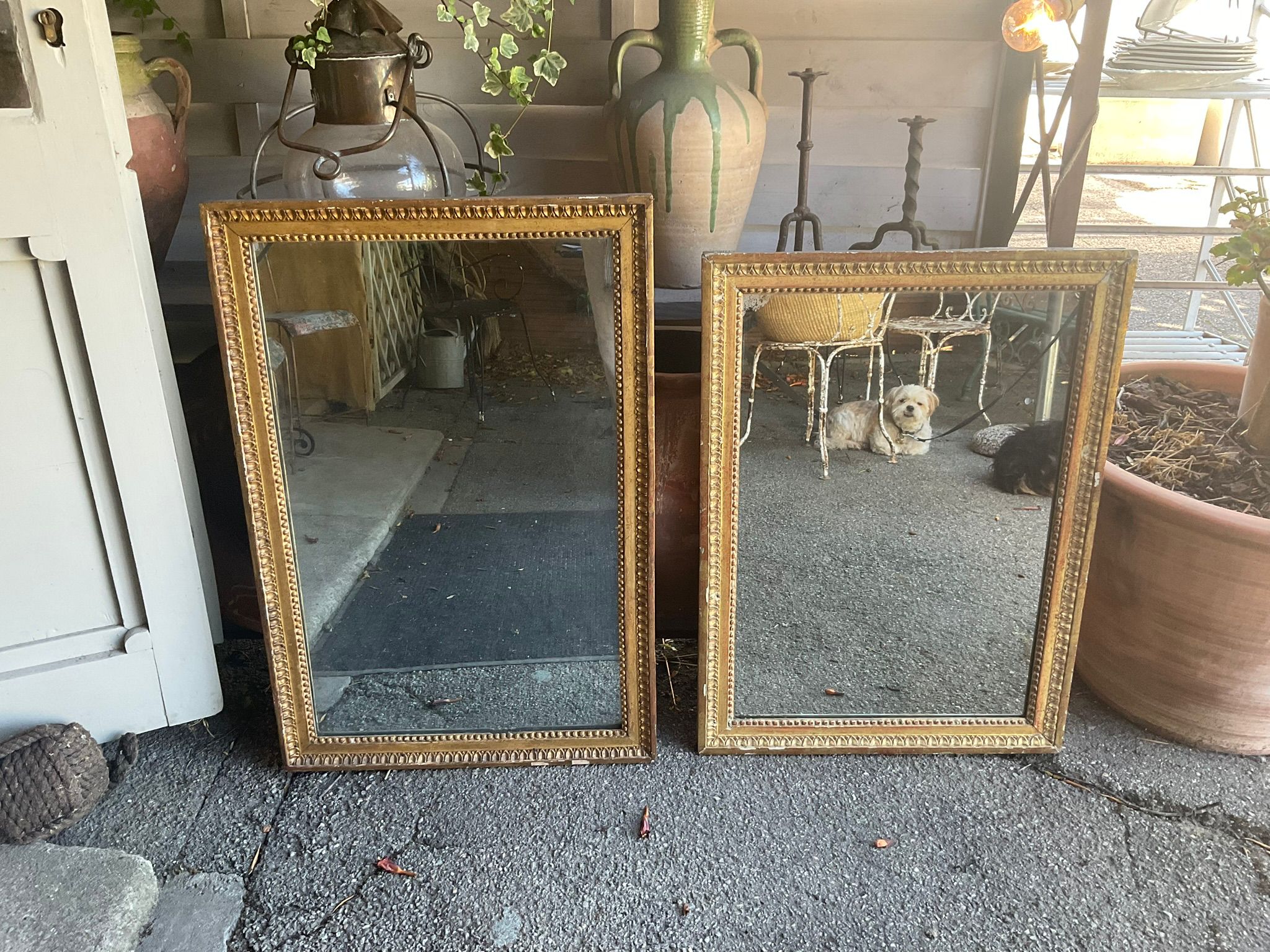 Gilt, ornate Louis XVI gilt mirrors 