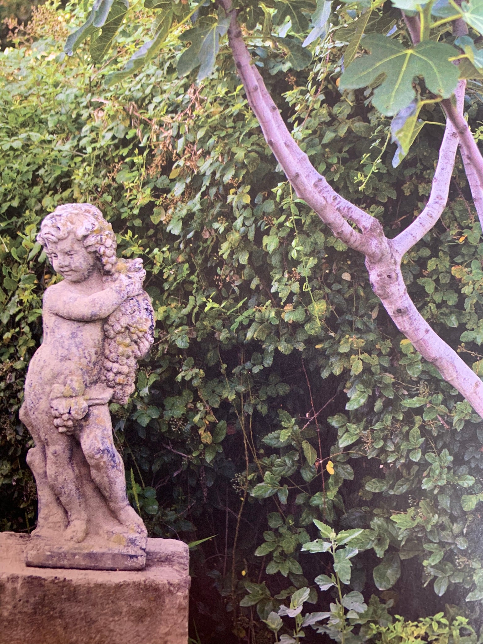 Vintage garden sculpture of a cherub bacchante 35½"