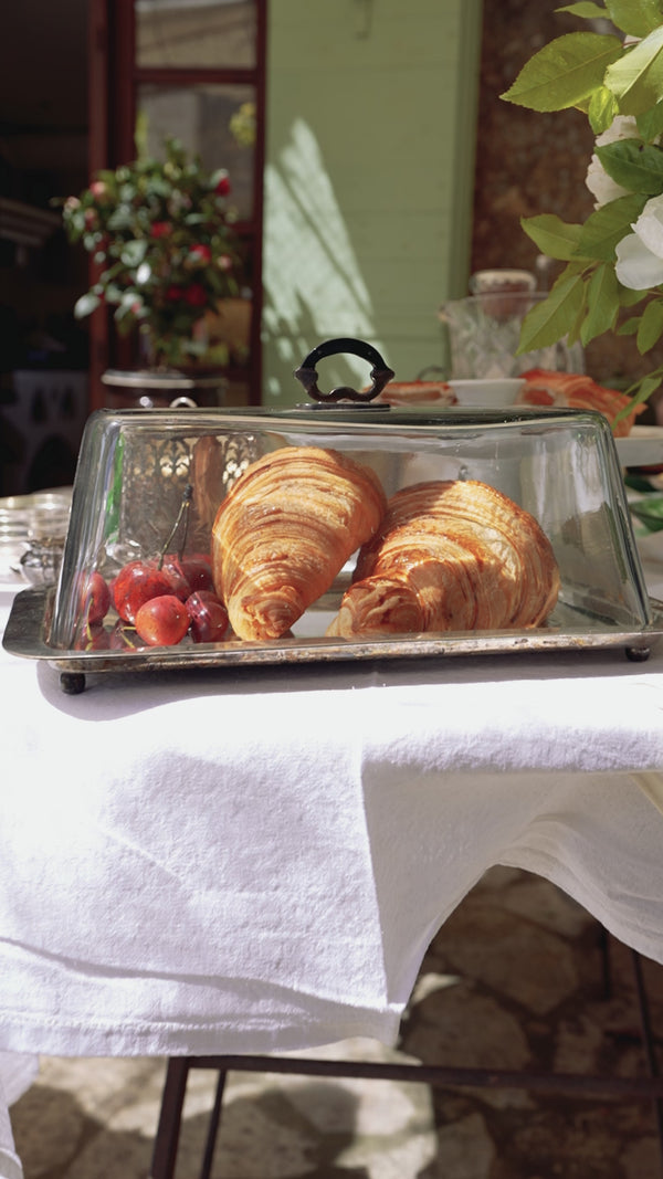 Antique French rectangular tray w/ glass lid, cloche 13¾ x 9½"