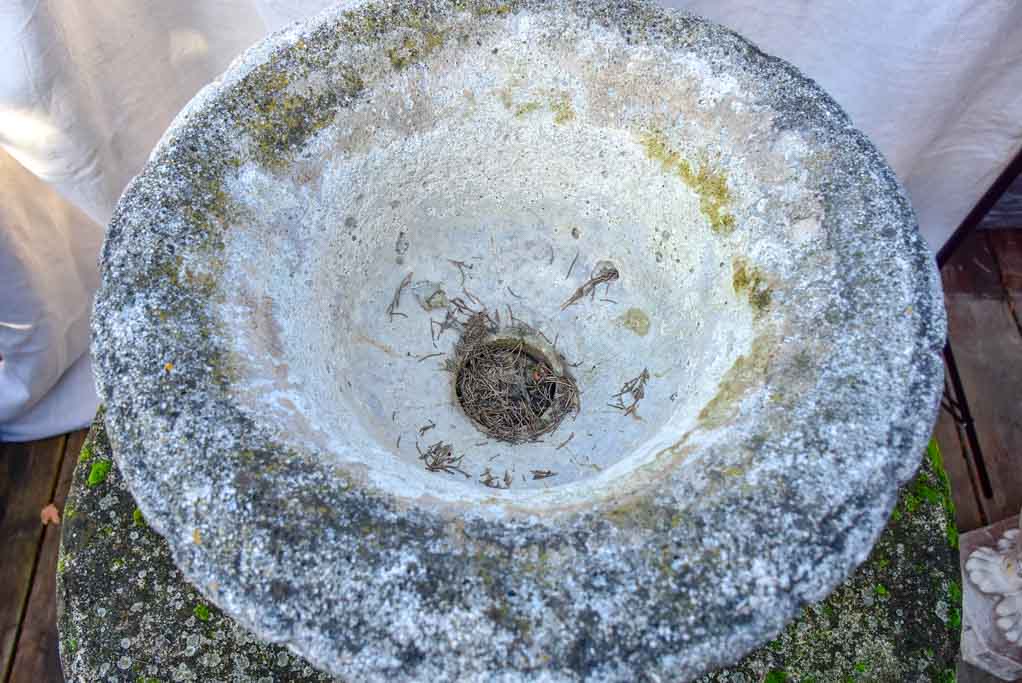 Late 19th Century reconstituted stone Medici garden urn