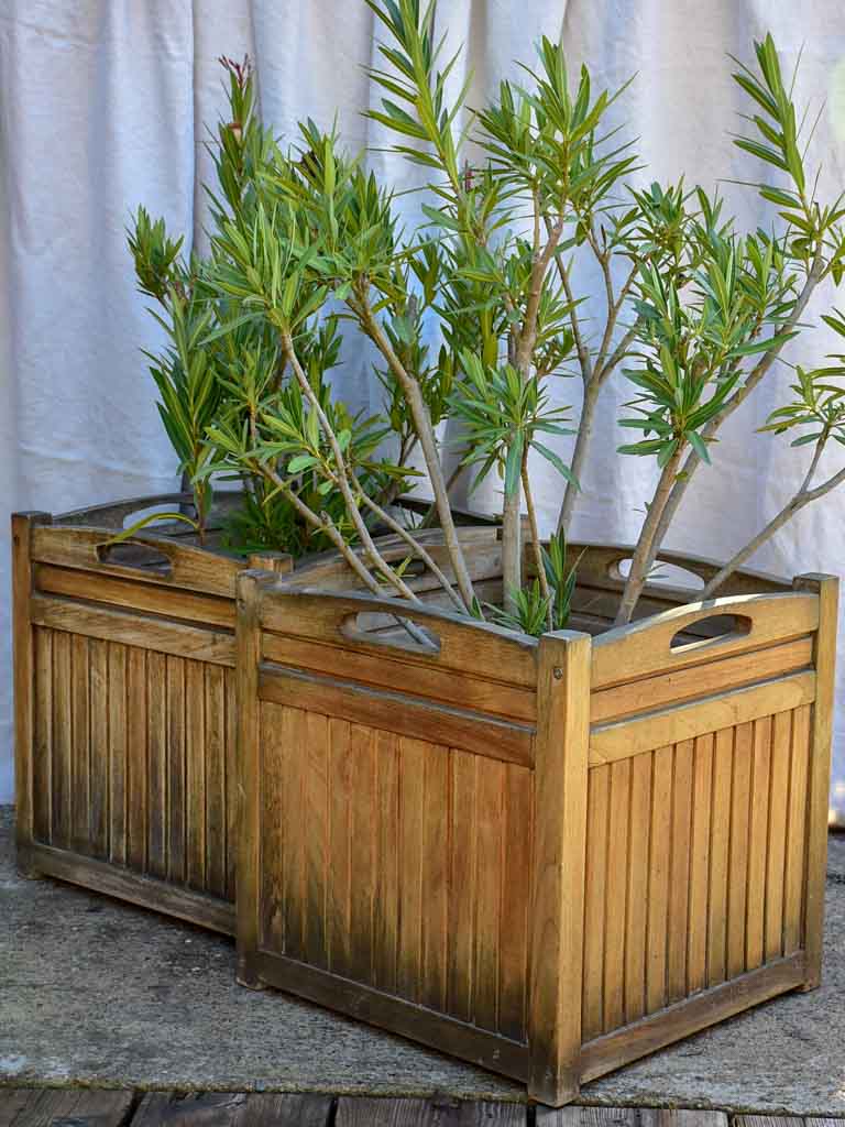 Pair of vintage French Versaille planters - teak