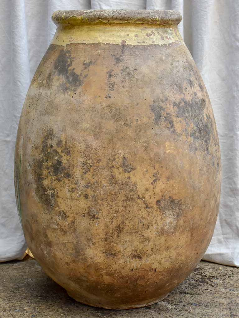 Very large 18th Century French Biot olive jar 38½"