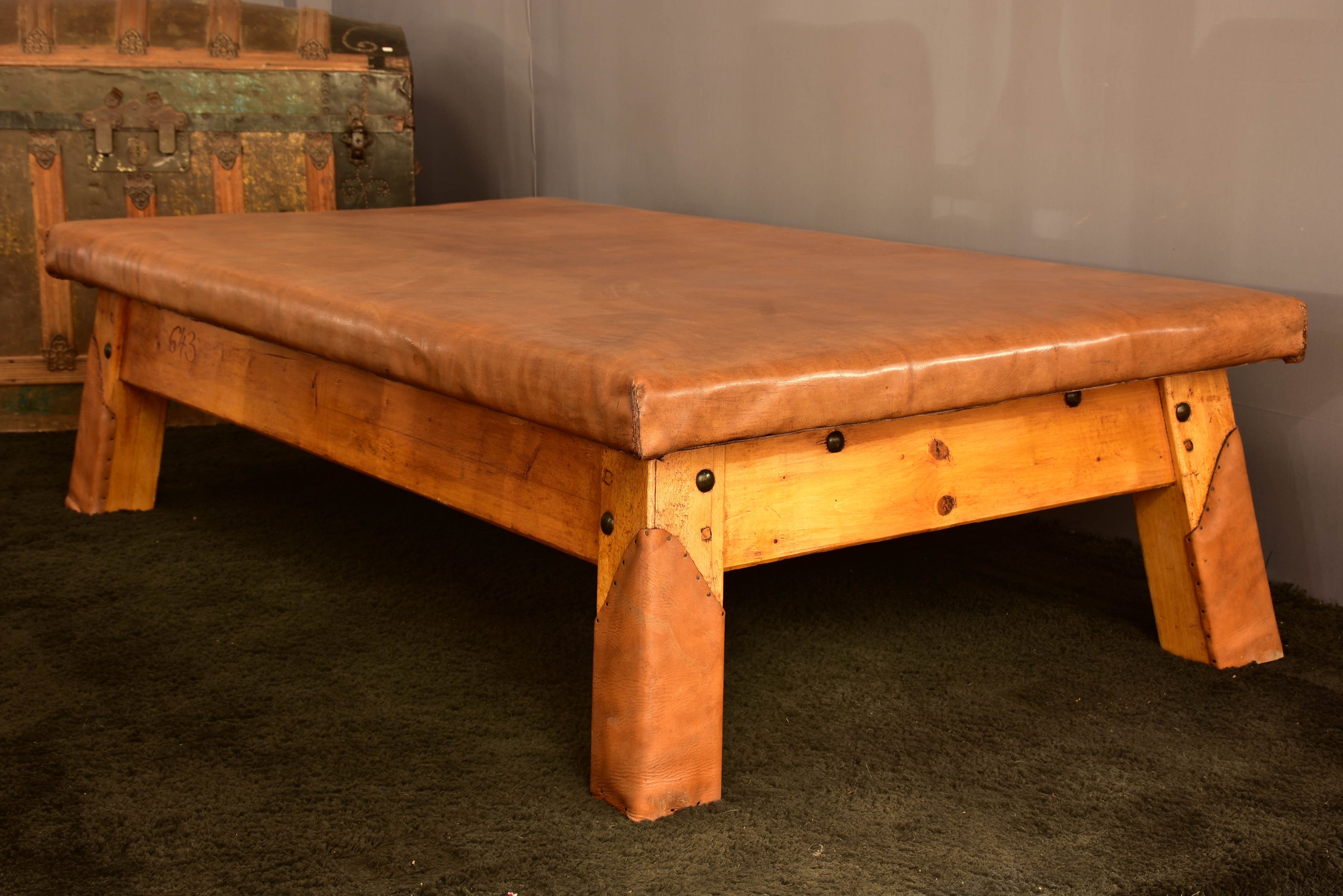 Extra-large leather coffee table (previously used for gymnastics)