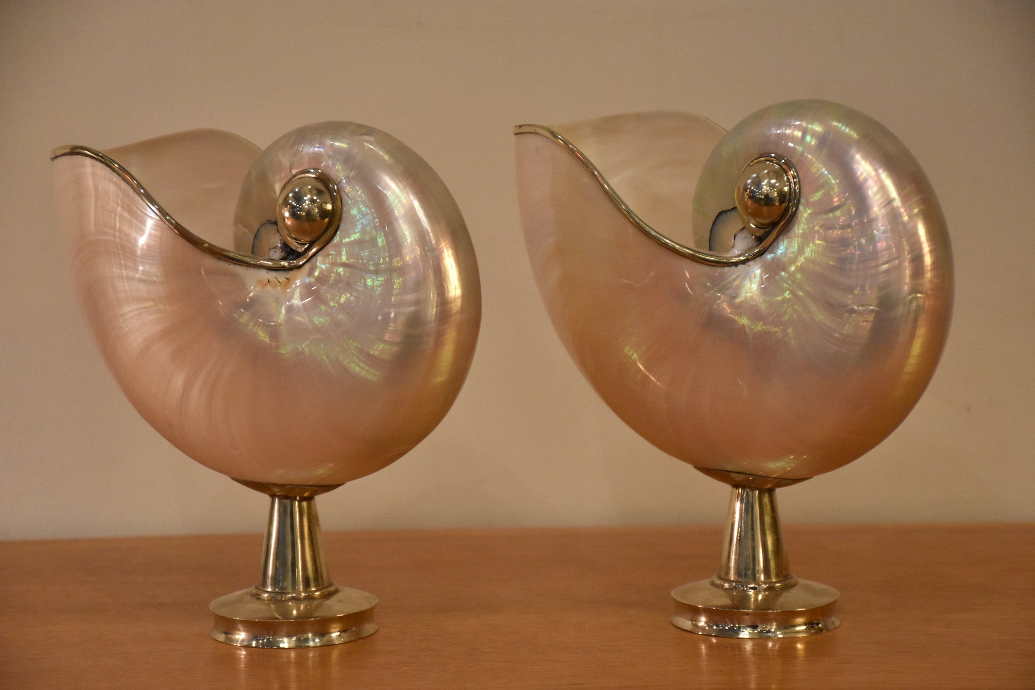 Pair of mounted pearlescent nautilus shells