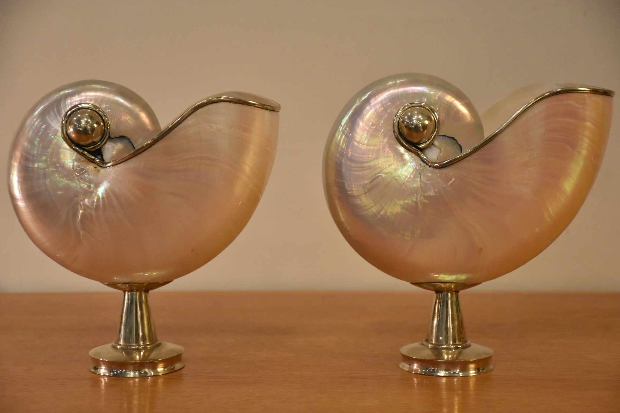 Pair of mounted pearlescent nautilus shells