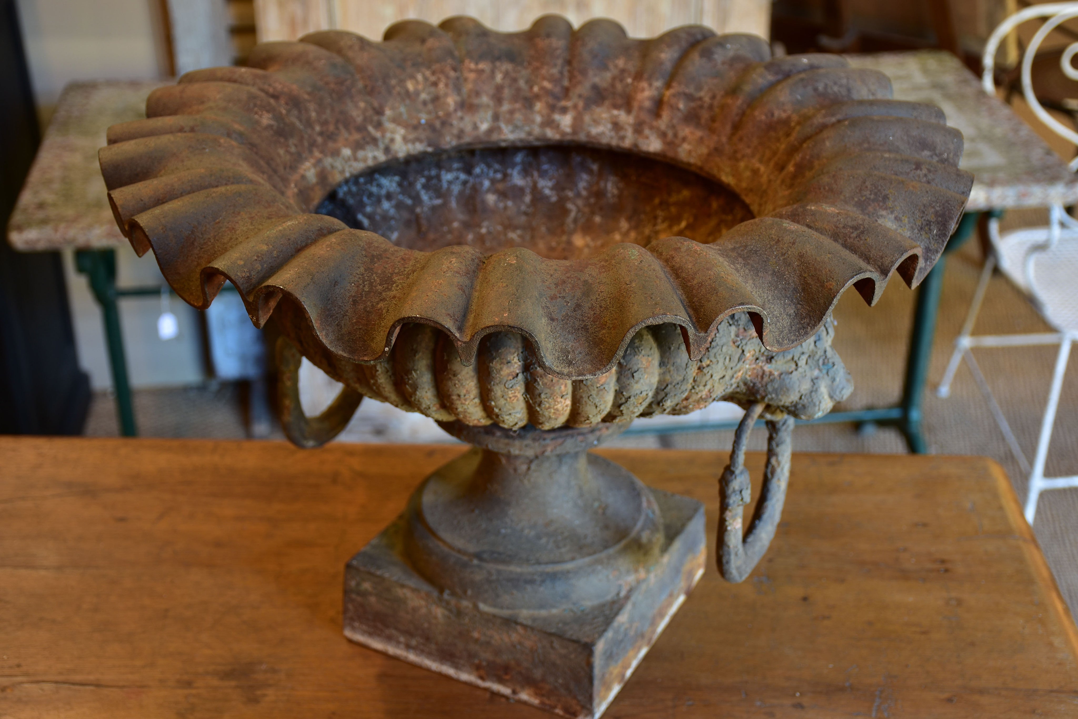 Large antique French urn with lions head handles and rippled edge