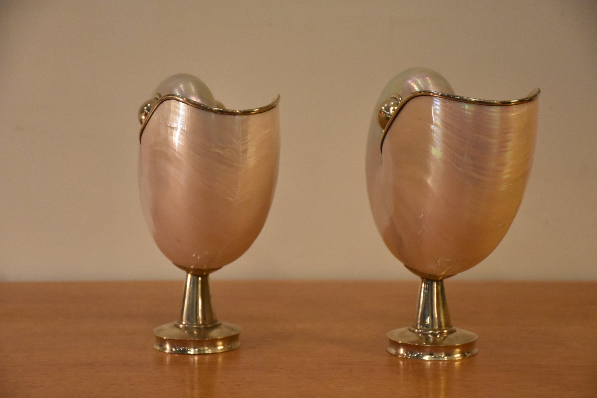 Pair of mounted pearlescent nautilus shells