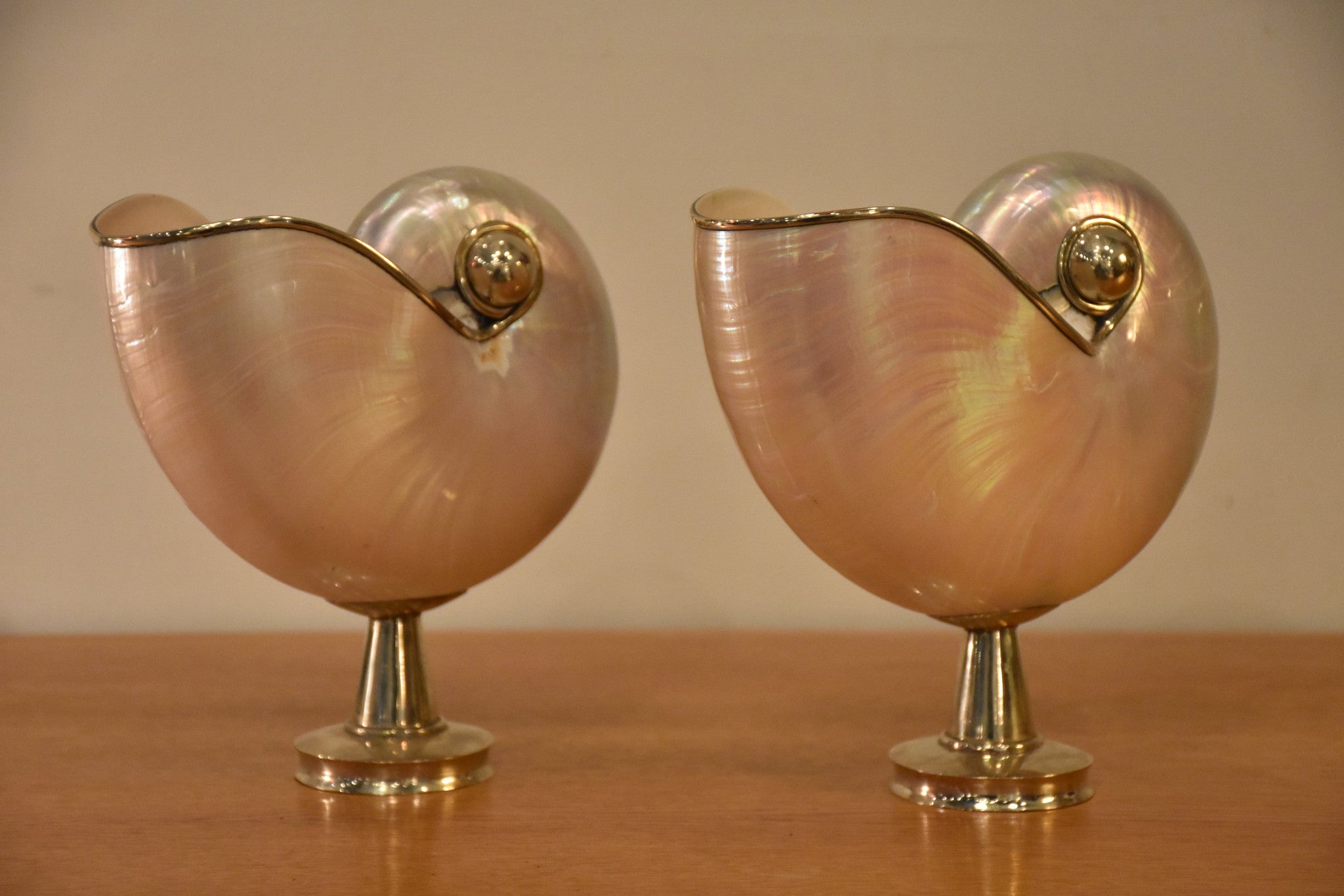 Pair of mounted pearlescent nautilus shells