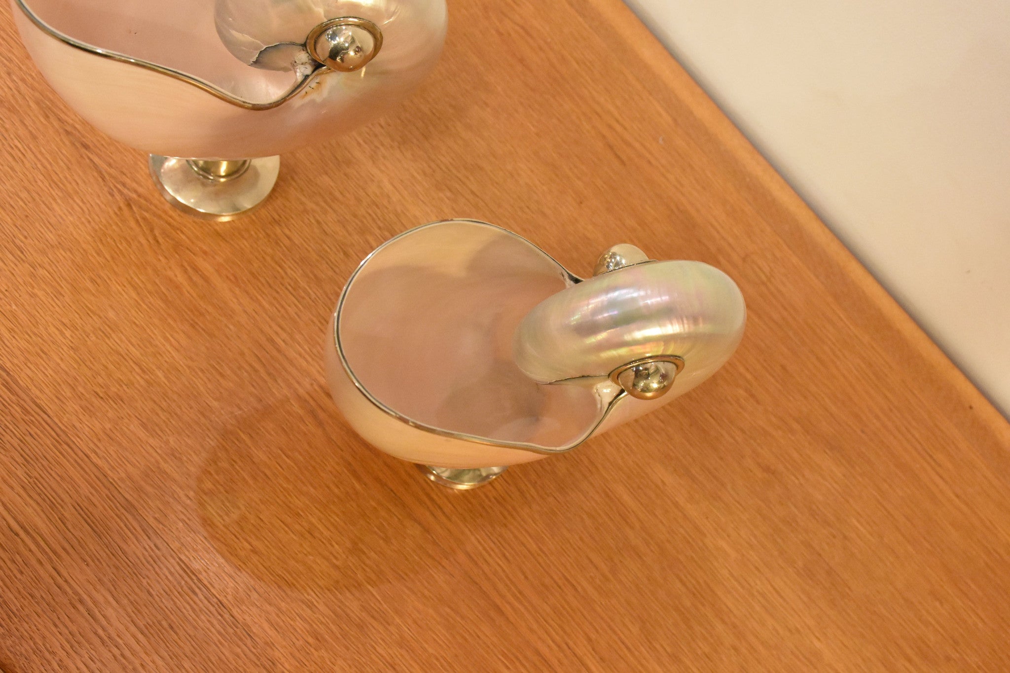 Pair of mounted pearlescent nautilus shells