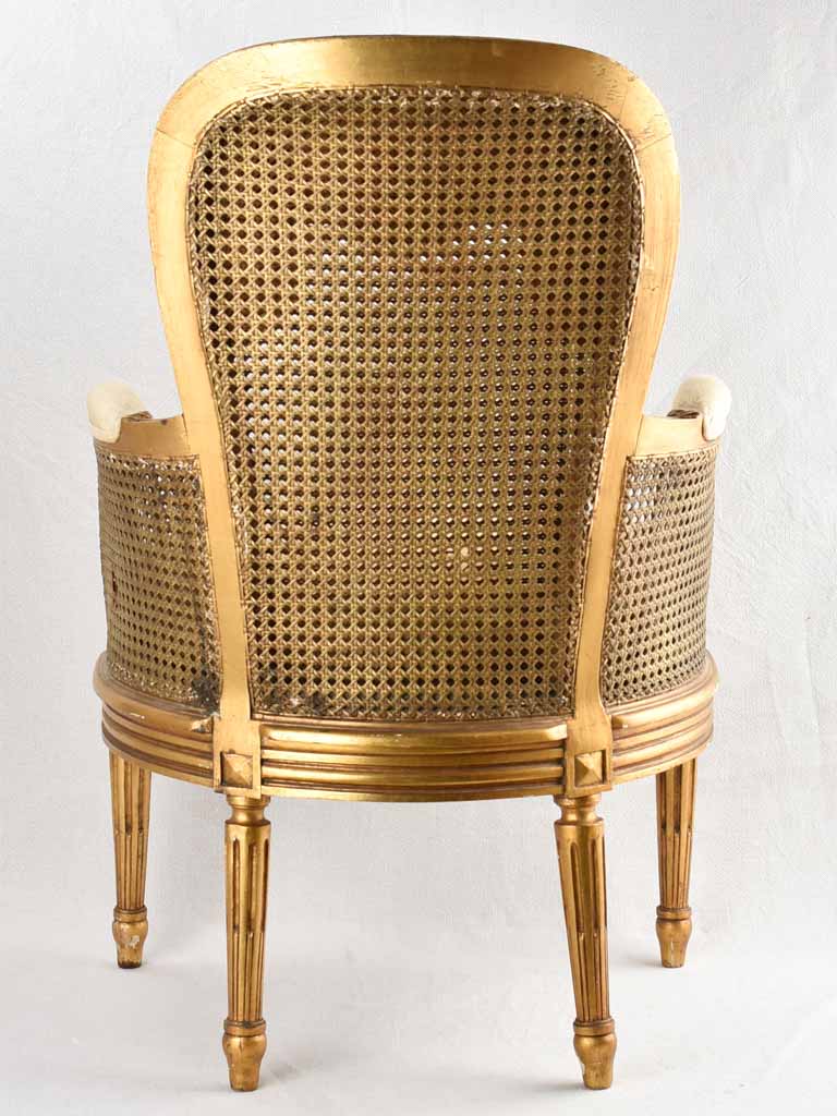 Rustic Aged Louis XVI Armchair