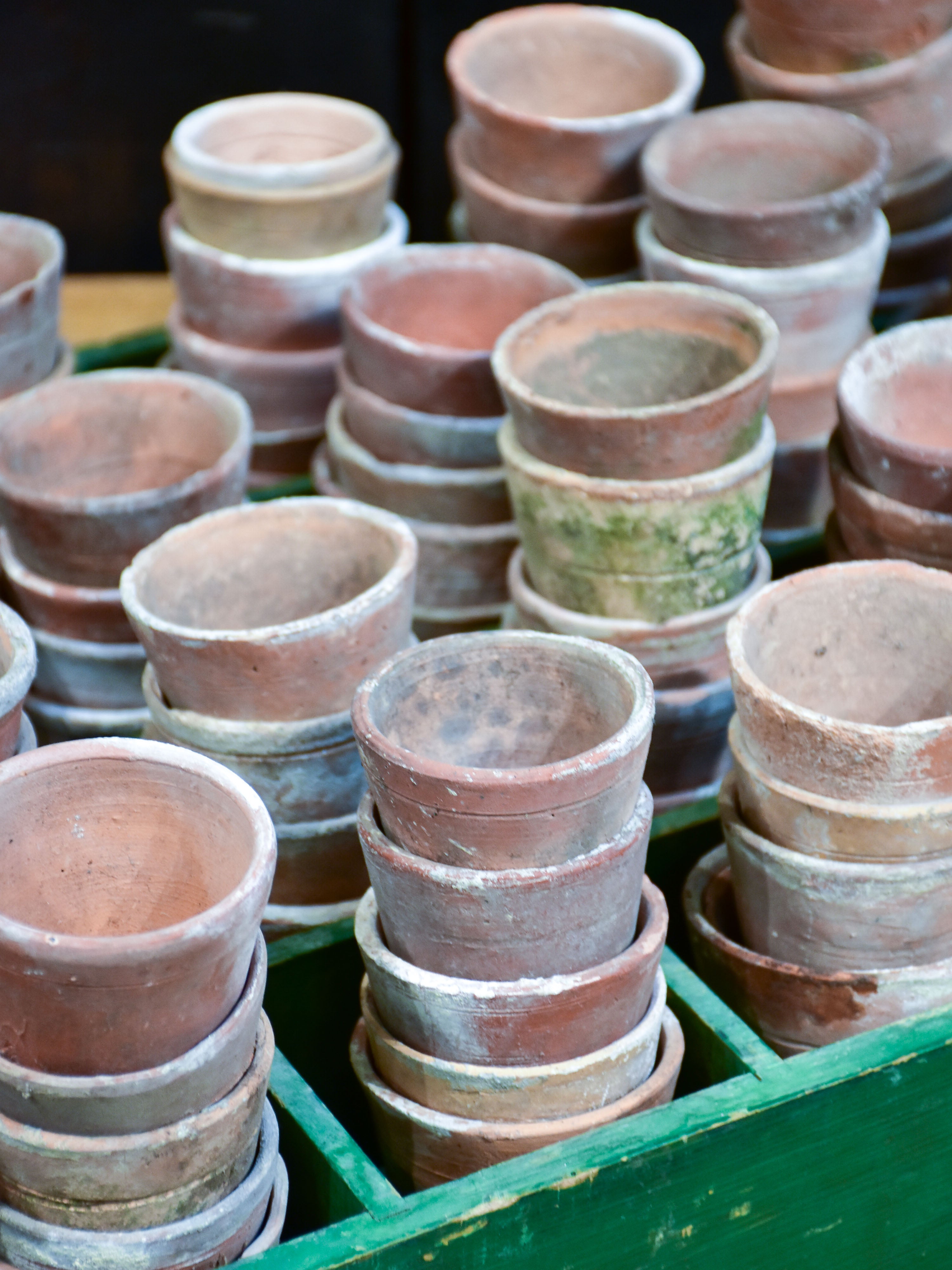 Collection of six vintage terracotta garden pots