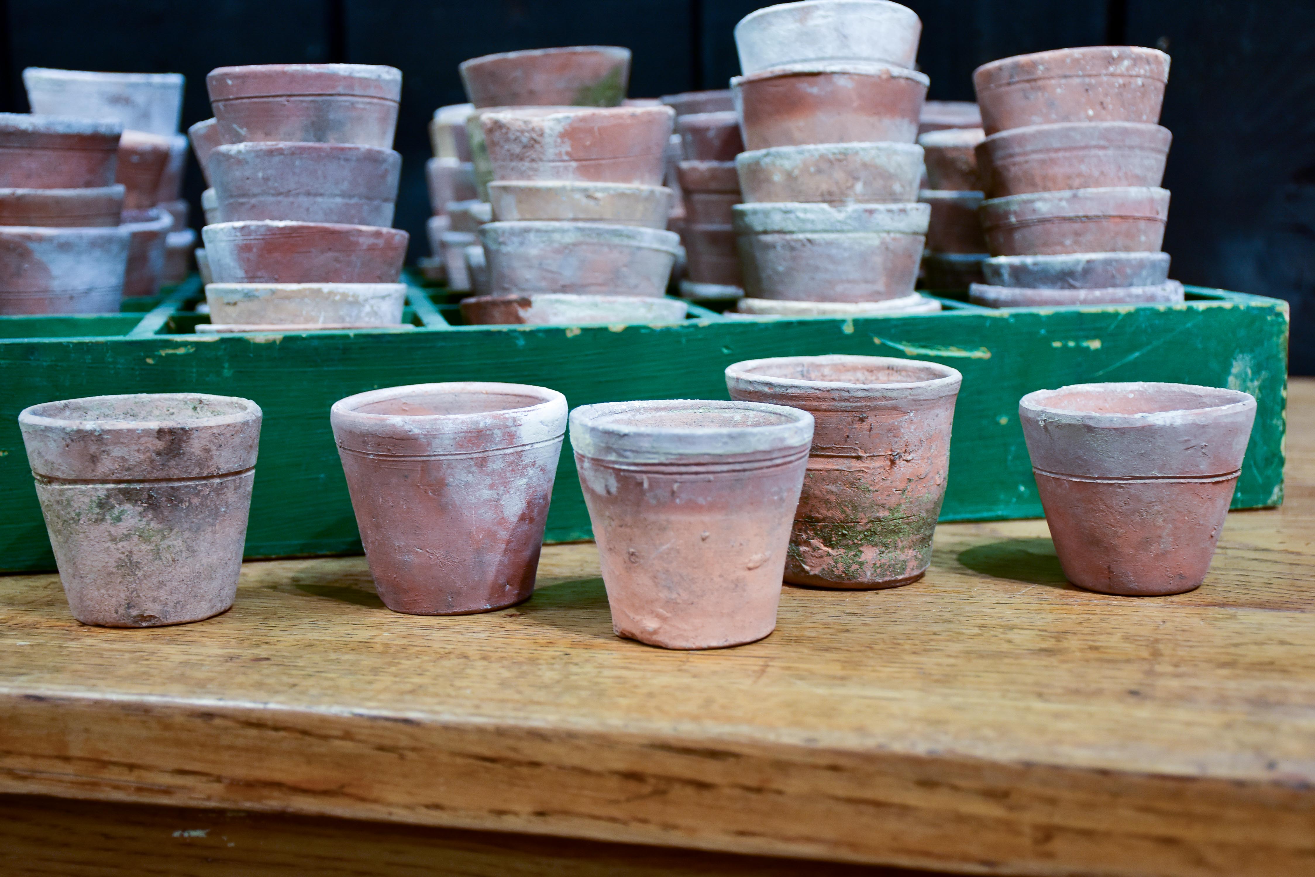 Collection of six vintage terracotta garden pots