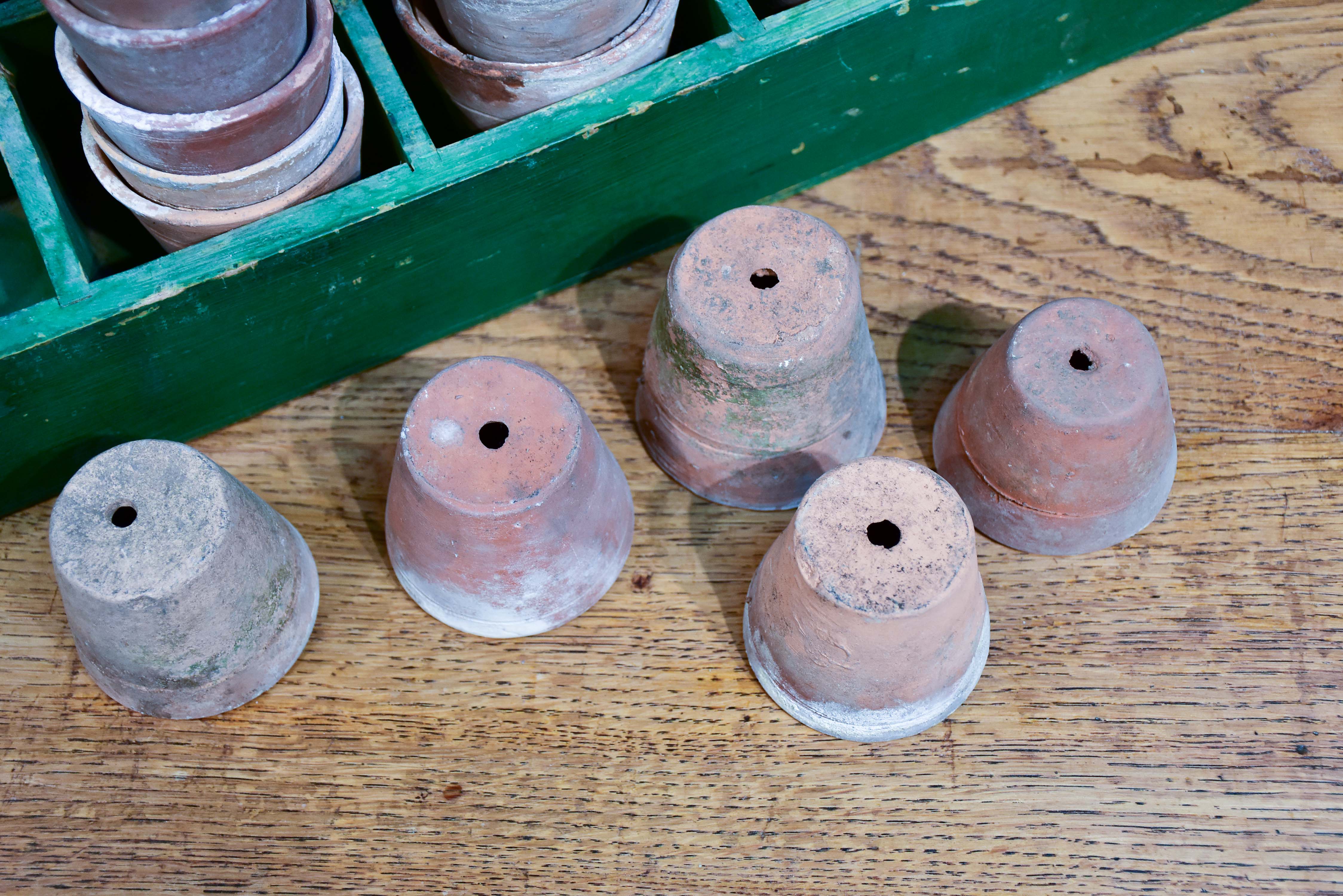 Collection of six vintage terracotta garden pots