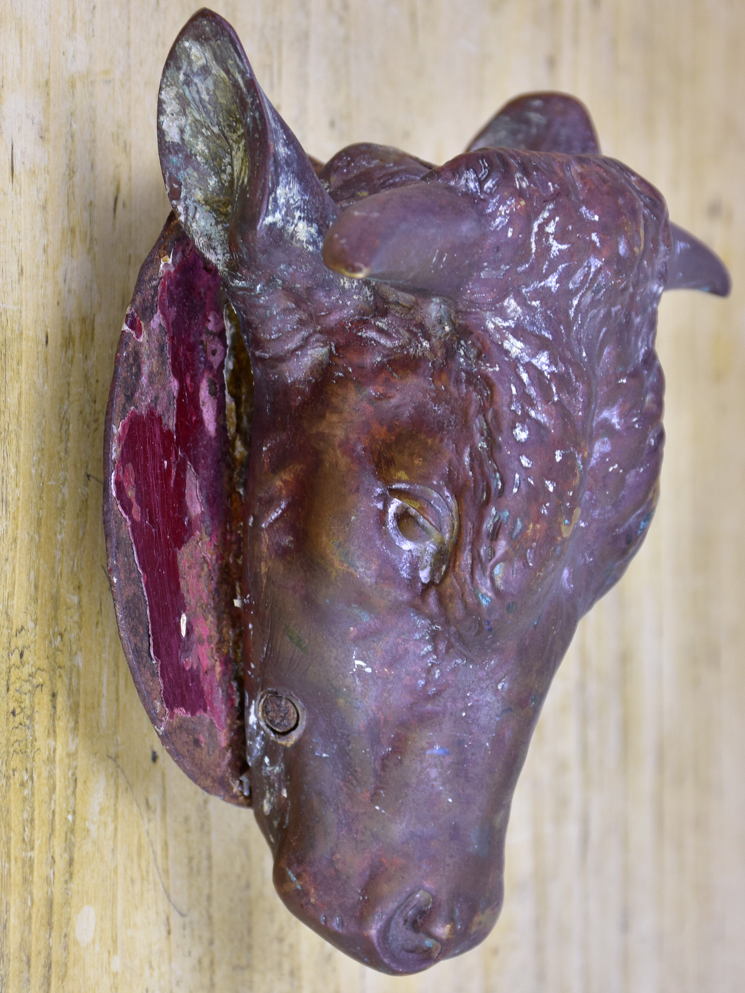 Antique French cow's head from a butcher's block